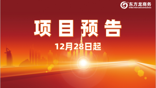 堅(jiān)持高水準(zhǔn)開發(fā)，高質(zhì)量對(duì)接！12月28日起，25家優(yōu)質(zhì)投資選址企業(yè)精準(zhǔn)對(duì)接全國(guó)政府園區(qū)